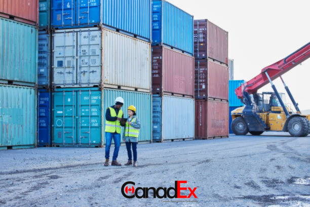 How to Bring Goods into Canada [Complete Guide]